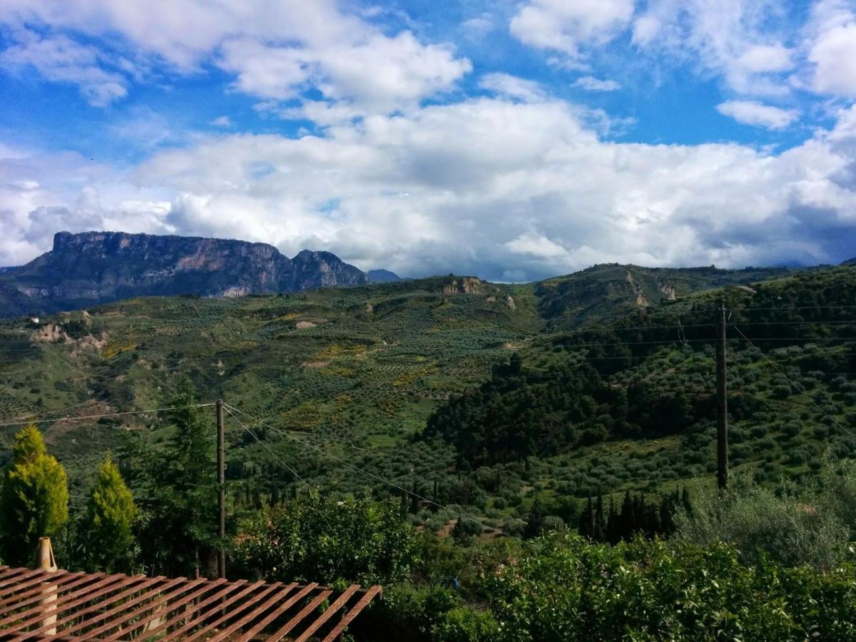 Ampelos Estate Ακράτα Εξωτερικό φωτογραφία