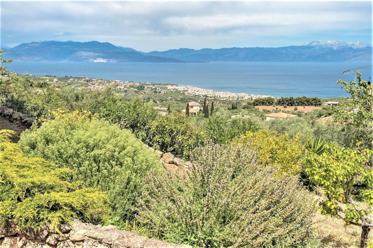 Ampelos Estate Ακράτα Εξωτερικό φωτογραφία