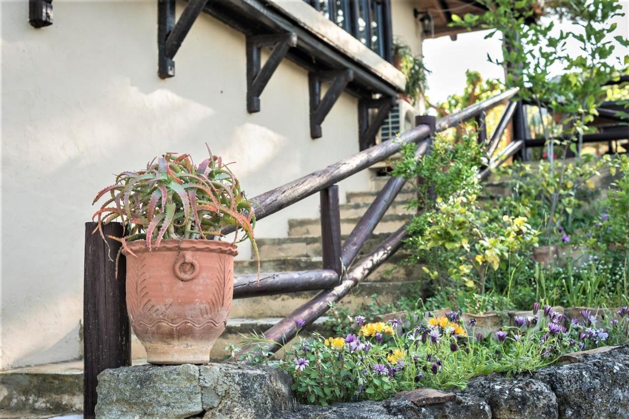 Ampelos Estate Ακράτα Εξωτερικό φωτογραφία