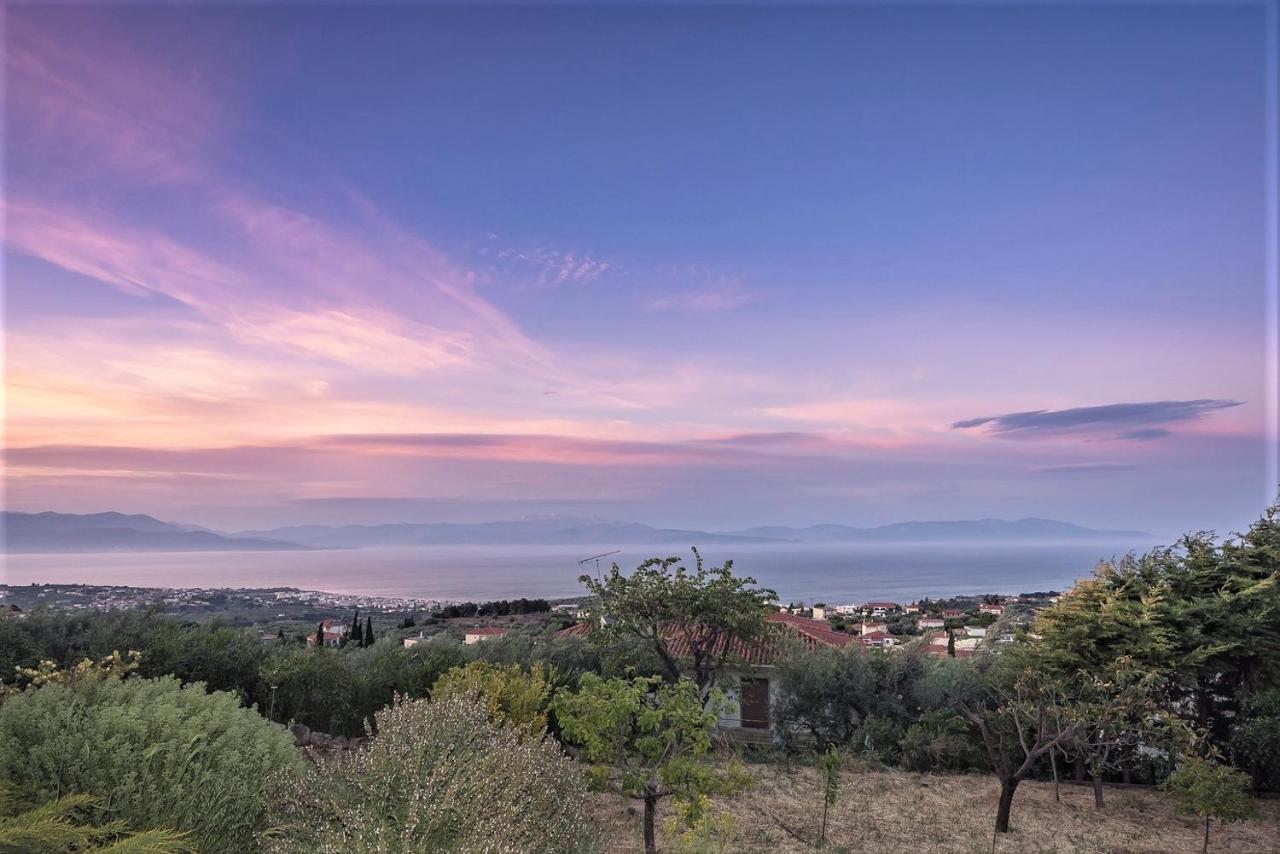 Ampelos Estate Ακράτα Εξωτερικό φωτογραφία